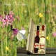 Weinviertler-Biohimbeer--Likör-Brand by Candarila